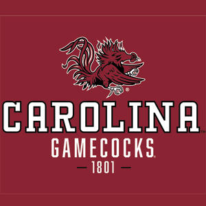 University of South Carolina Gamecocks Red PS5 Controller Skin